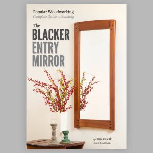 Blacker Entry Mirror e-book cover
